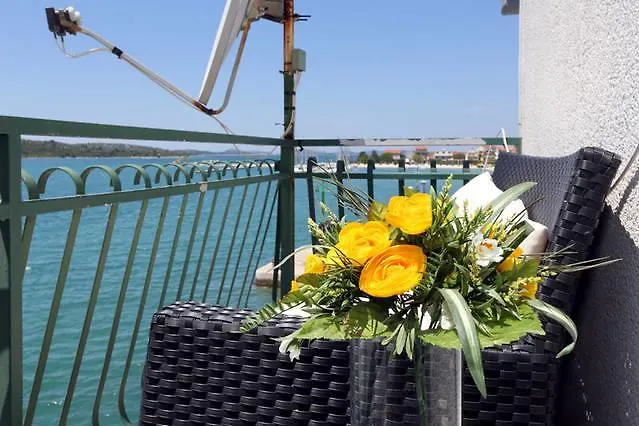 Sara * ピロヴァッツ